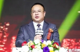 中国盘总 #盘继彪 盘总被判无期