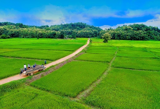 泰國的可持續旅遊業：振興自然和社區