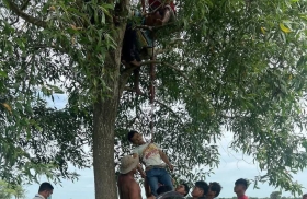 妻子拒绝与男子同房，男子勃然大怒，离家出走上吊自杀。