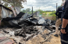 磅湛省灭门案致10人惨死，21岁凶手被正式拘押