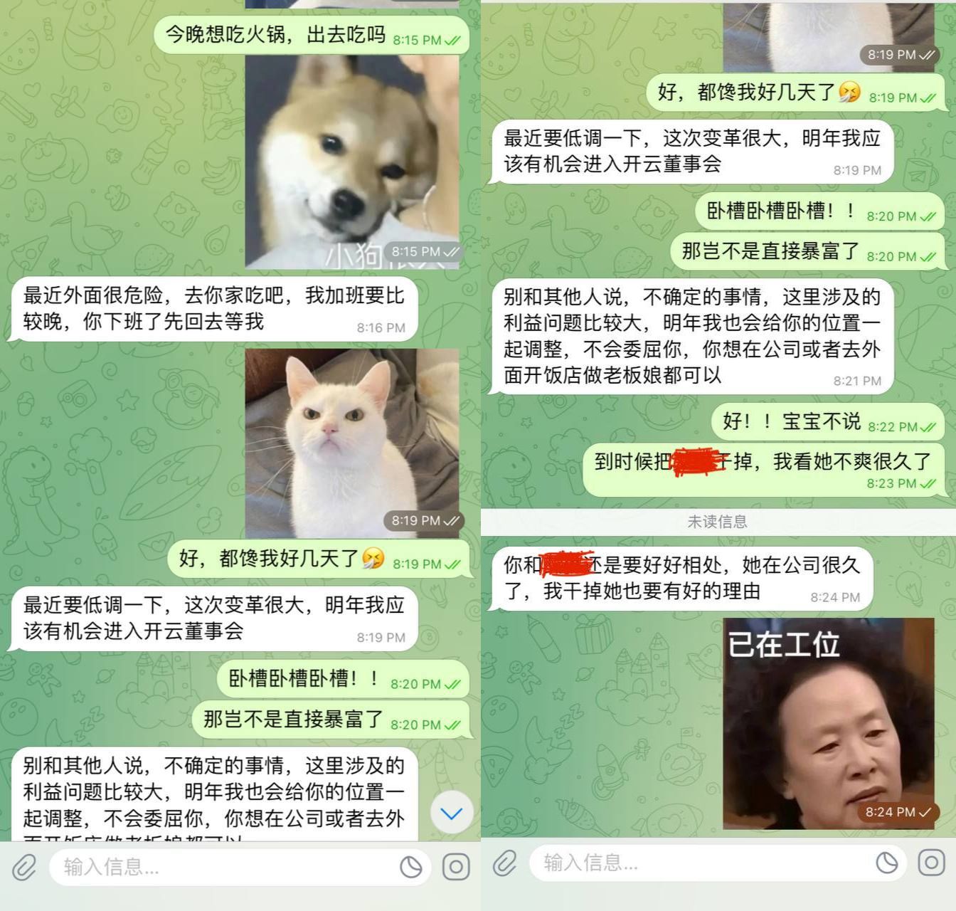 开云体育 特伦斯 人资总监 矮秃头猥琐老头