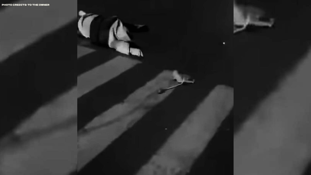 勃固市一名怀孕六个月的护士遭袭击身亡