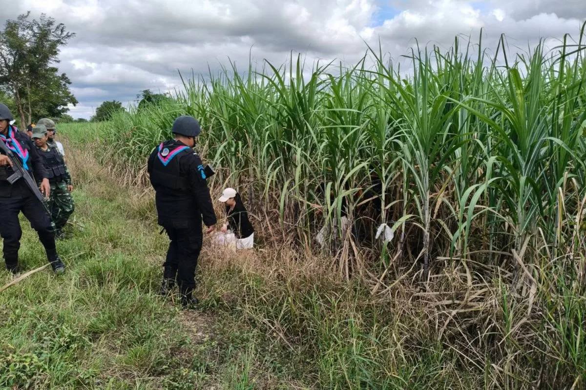 2568-11-05 23.13.13.jpg