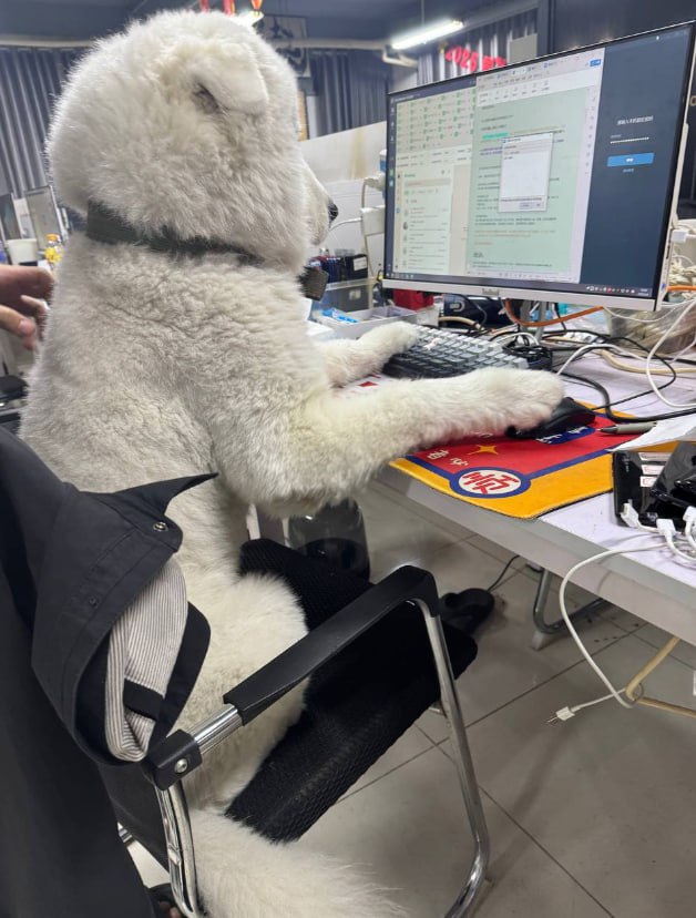 2568-11-20 17.46.37.jpg